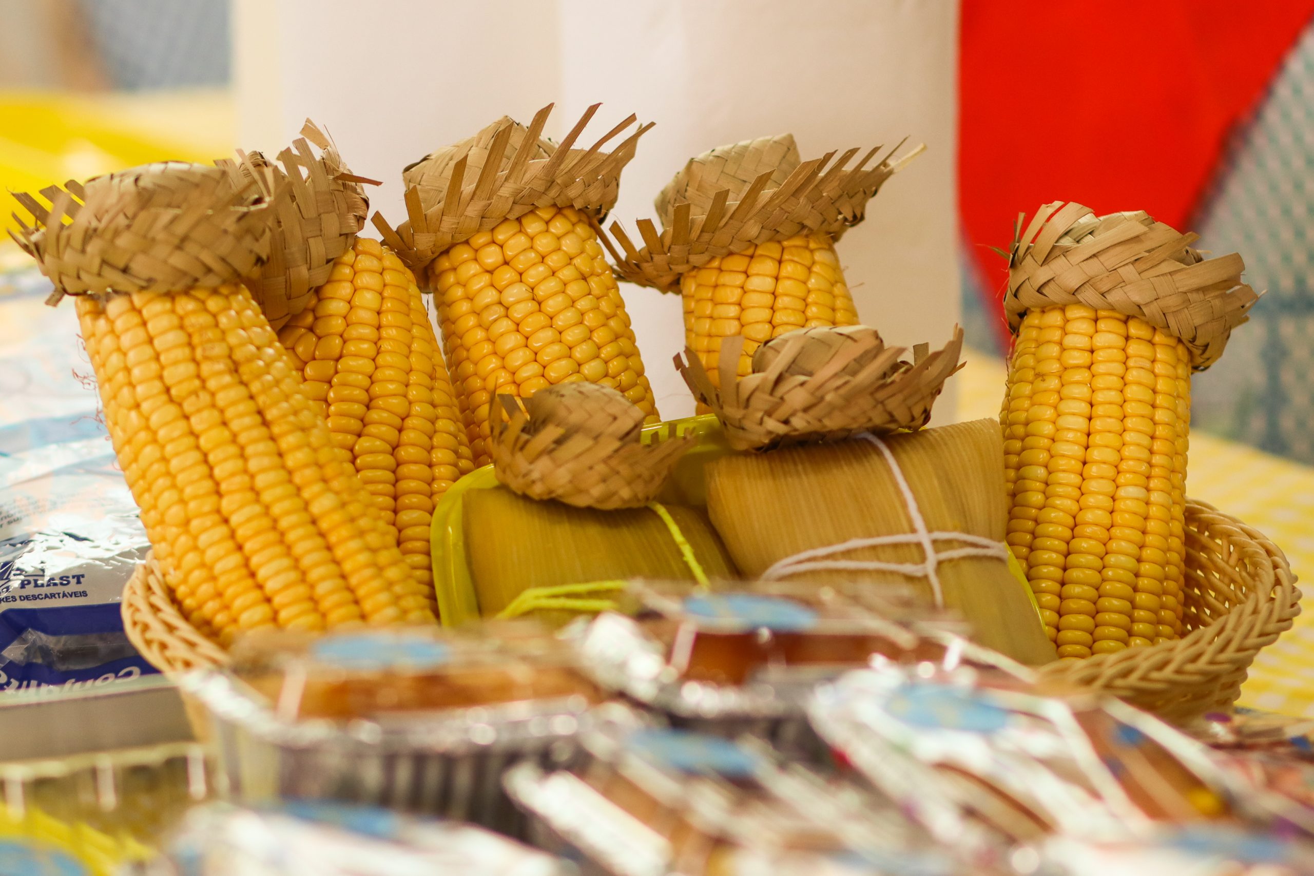 Festa Junina Sindipetro PR e SC 2025-12