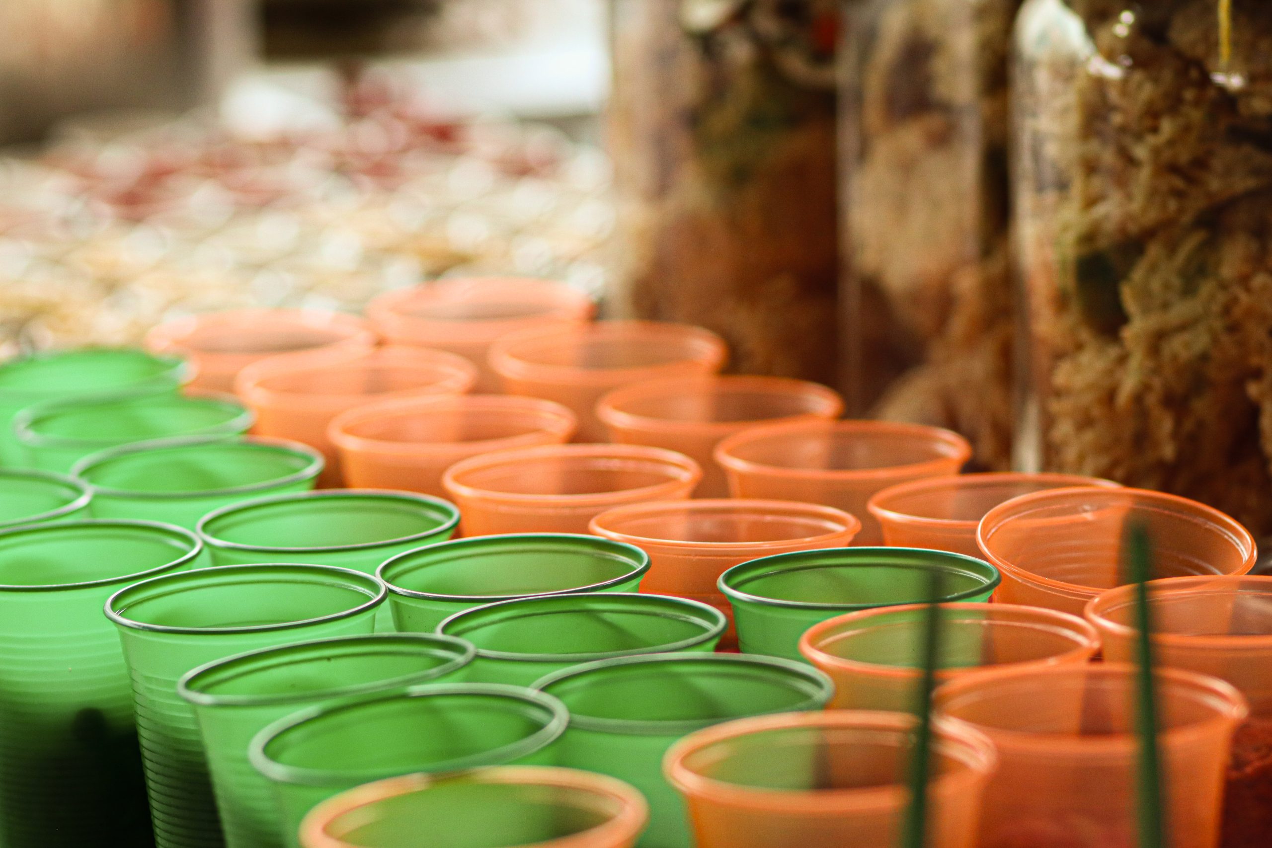 Festa Junina Sindipetro PR e SC 2025-22