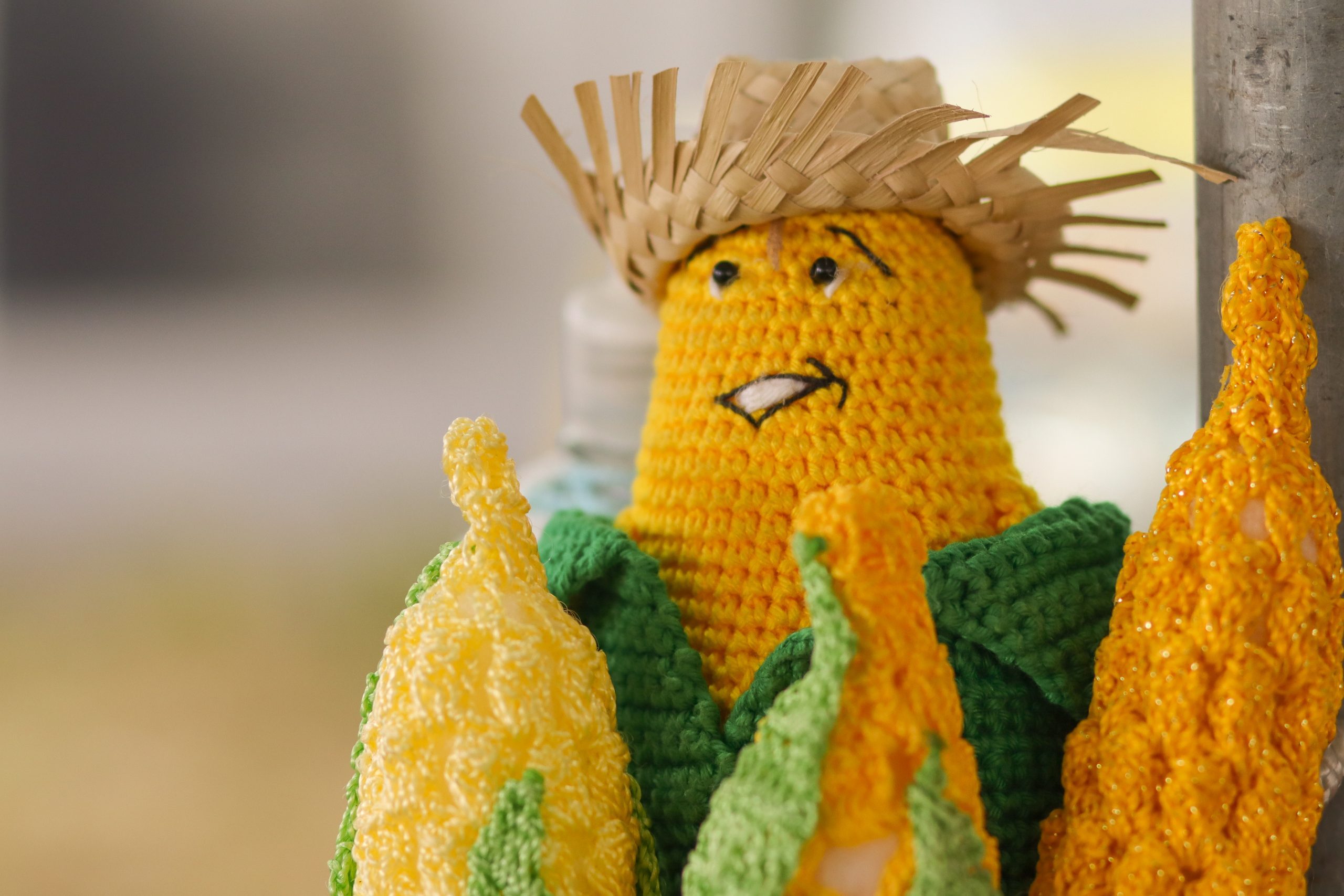 Festa Junina Sindipetro PR e SC 2025-9