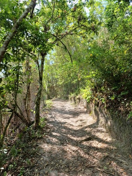 IMG_20260131_154116 IMG_20260131_154116