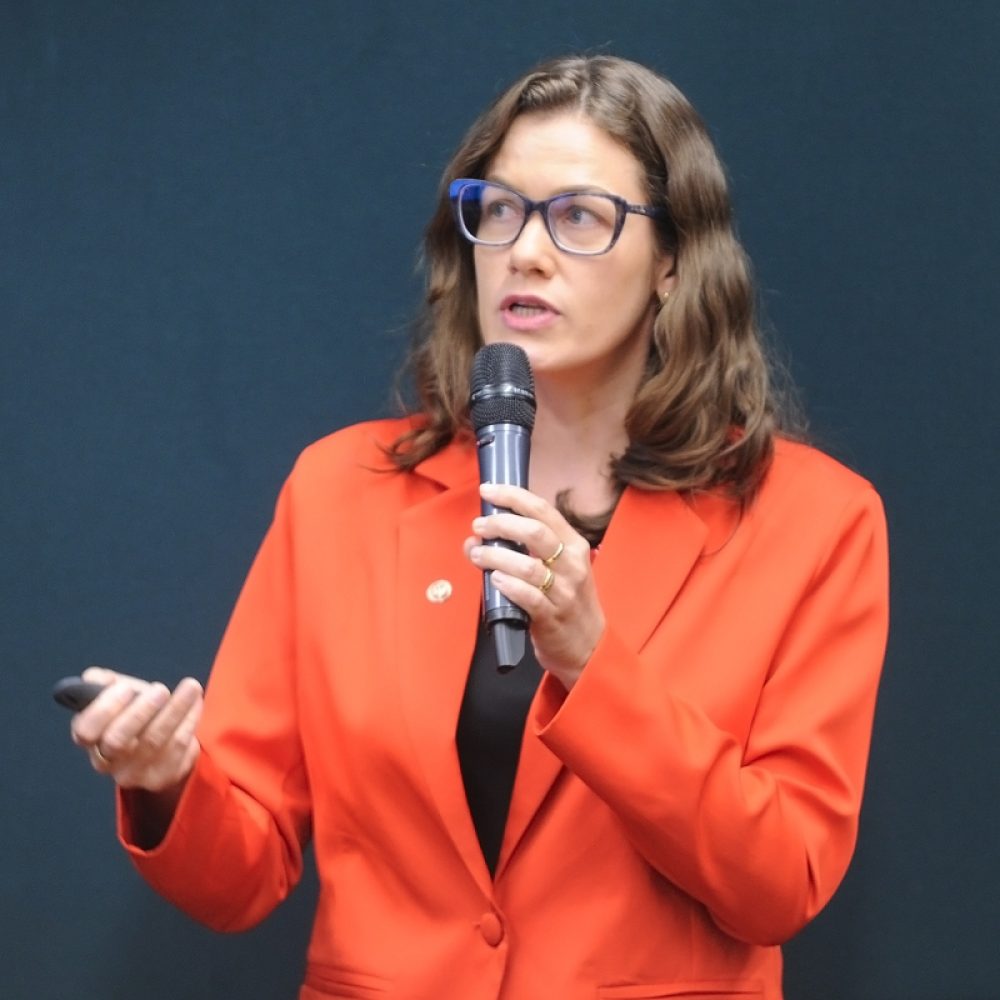 Procuradora Cirlene Zimmermman, em audiência na Câmara dos Deputados. Foto: Renato Araújo/Câmara dos Deputados